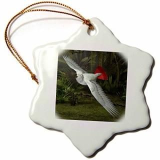 3drose BoehmեåĻ??African Grey Parrot??Ornaments 3 inch Snowflake Porcela