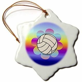 3drose Deniska DesignsХ졼ܡ??Х졼ܡFlower on Rainbow??Ornaments 3 inch Snowflak