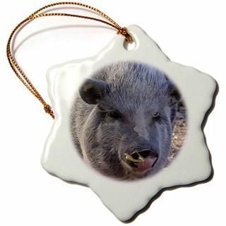 3drose Jackie Popp Nature N Wildlife animals??ݥåȥ٥꡼??Ornaments 3 inch Snowflak