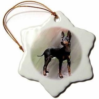 3dޥƥꥢ??ޥƥꥢ??Ornaments 3 inch Snowflake Porcelain Ornament or