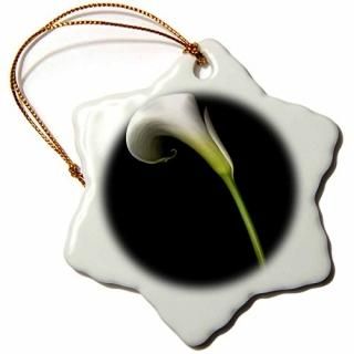 3d??ۥ磻ȥ顼꡼??Ornaments 3 inch Snowflake Porcelain Ornament orn_4272_1