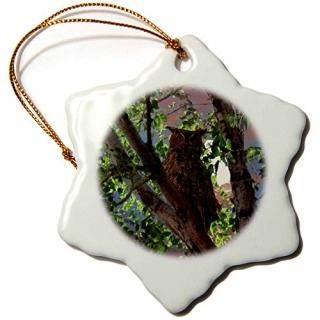 3dRose LLC Owl and The Moon 3-Inch Snowflake Porcelain Ornament