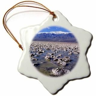 3dPaul Honatke̿??Death Valley Badwater??Ornaments 3 inch Snowflake Porcelain
