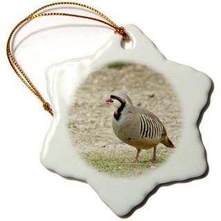 3drose Danita Delimont??Ļ??ChukarĻͤΥBasinָࡢ楿??na02?djo0042??󡦥