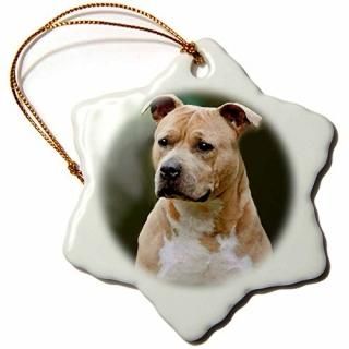 3dStaffordshire Terrier??American Staffordshire Terrier??Ornaments 3 inch Sn