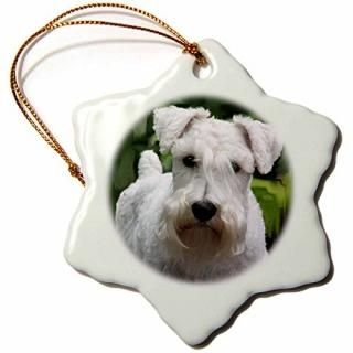 3drose Dogs Schnauzer??ۥ磻Schnauzer??Ornaments 3 inch Snowflake Porcelain Ornam