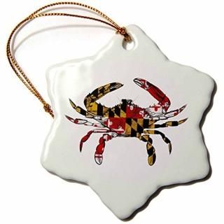 3dRose orn_193242_1 ꡼ɽˤδ Ρե졼ʥ  3