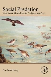 Social Predation How group living benefits predators and prey