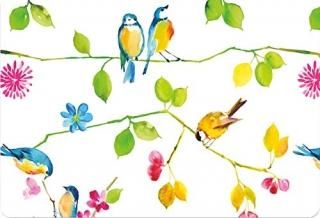 Watercolor Birds Notecards Note Cards