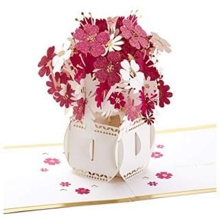 Hallmark Signature ڡѡݥåץå ͧ  