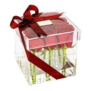 Clear Tek ꥢ륹եܥå  9 դ  6 x 6 x 6  1Ȣ  쥹ȥ󥦥