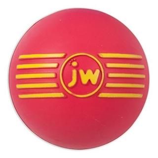 JW PET ISqueak Squeaker Dog Puppy Fetch Chew Toy MEDIUM BALL