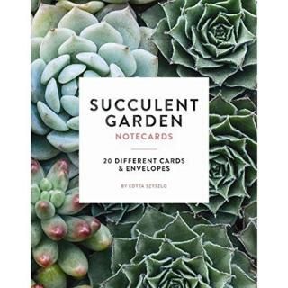 Succulent Garden Notecards Photography Notecards Cards for Plant Lovers Gift for