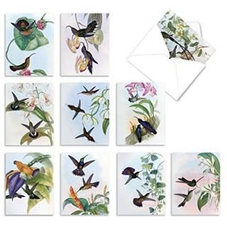 Humming Along all-occasion Joke Greeting Card 10 Assorted Blank Note Cards SKUM1