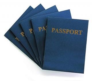 Hygloss Products HYG32610 My Passport Book 24 Books