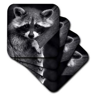 set-of-4-Ceramic - 3dRose cst_173001_3 Baby Raccoon Black and White Digital Imag