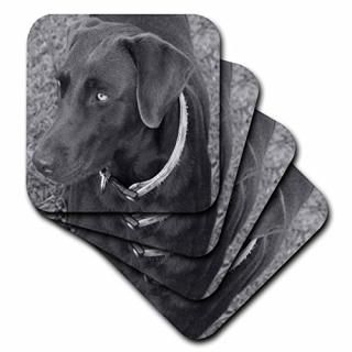 set-of-8-Soft - 3dRose cst_14144_2 Chocolate Lab Black and White-Soft Coasters S
