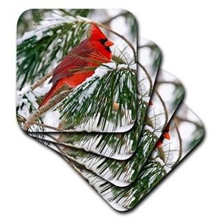 set-of-8-Soft - 3dRose cst_112146_2 Red and Black Cardinal Perched in Snowy Pine