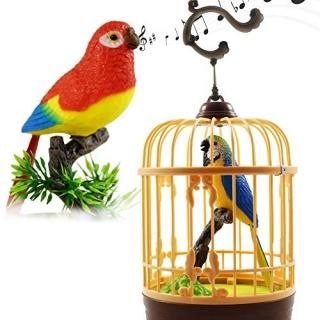 ϥåȥHaktoys Battery Operated Realistic Singing & Chirping Bird Toy with Cage 1