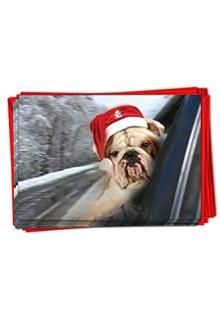 NobleWorksꥹޥFunny Paper 12 Christmas Card Pack SKUB6481FXSG