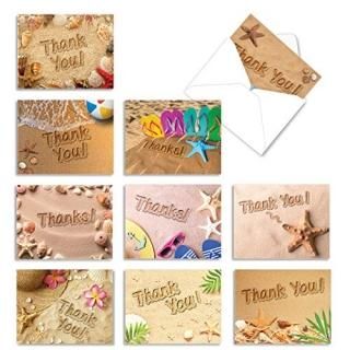 am6113tyg-b1?X 10ӡΡ 10?Assorted Thank You Notecards featuring Sandy򤷤ƲƤΥ