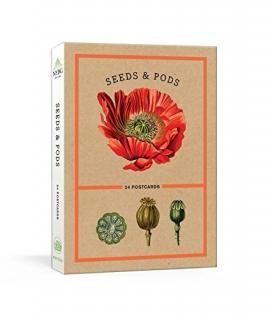 Seeds and Pods 24 Postcards New York Botanical Garden