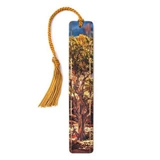 ΩΥ˥ѡĥ꡼ - Mike DeCesare ˤ륫顼̿ - åդ֥åޡ - ѡʥ饤ǤB07QKDQY64