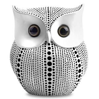 apps2car Statueեforۡ।ƥꥢ ۥ磻 OWL-S01