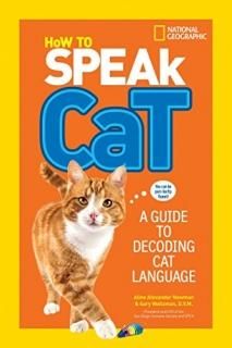 How to Speak Cat A Guide to Decoding Cat Language