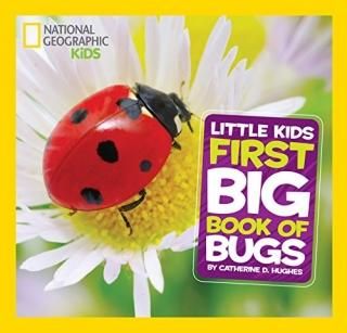 National Geographic Little Kids First Big Book of Bugs National Geographic Littl