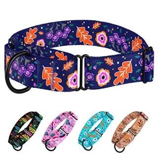 CollarDirect Martingale Collars for Dogs Heavy Duty Floral Pattern Female Safety