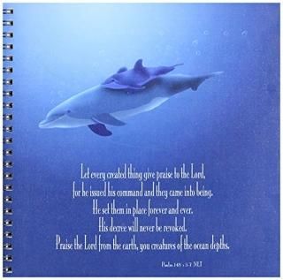 3dRose db_36108_1 顼 ֤Υ륫ο  148 V 5-7Ģ8 x 8