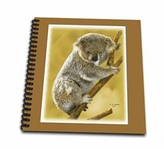 3dRose db_20530_1 Baby Koala Bear on a Tree Limb Digital Oil Painting Drawing Bo