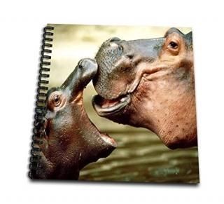 3dRose db_54156_1 Mama Hippo Kisses Her Baby-Drawing Book8 x 8