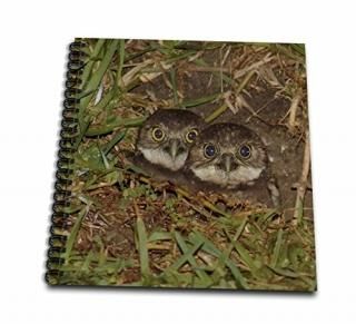 3dRose db_7347_1 ٥ӡХե֥å 8 x 8