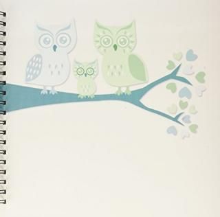 3dRose db_128533_2 襤եβ² ֤ˤλ ĤФΥ꡼֥åդ 12x12