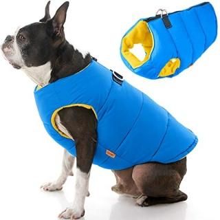 Gooby Padded Dog Vest - Solid Blue Large - Zip Up Dog Jacket Coat with D Ring Le