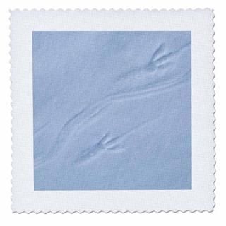 3dRose qs_74327_5 ǥ꡼ ڥ󥮥 ­  ϥå  AN02 KSC0026 ӥ ե  14 x 14