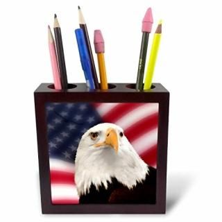 3drose Ph 62902?_ 1񥢥ꥫƬeagle-tileڥۥ5