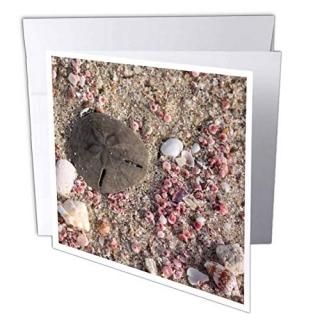 Albomǥι??̿κɥȥ롢ӡΥޡPhoto by Rhonda Albom??꡼ƥ󥰥 Individual Gr