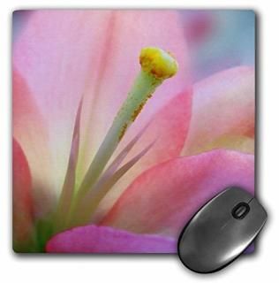 3dRose LLC 8 x 8 x 0.25 ԥ󥯥꡼ޥѥå mp_15439_1