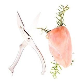 10??ѥ졼??ƥ쥹??Perfect for쥹ȥ󥱡󥰡Home Kitchens??Restaurantware