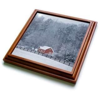 3dRose Stamp City -  - ȡ륹ΡСĥ꡼ǰϤޤ줿֤Ǽμ̿ -  8 by 8-Inch ֥饦 trv_2