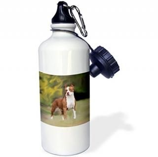Dogs Pitbull - American Pit Bull Terrier Puppy - Water Bottles