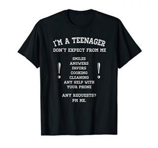I'm Official teenager Don't Expect 13th 14th Birthday funny T-Shirt