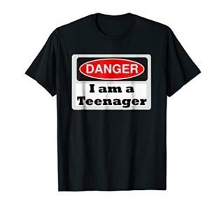 Funny Official I am a Teenager T-Shirt 13th Birthday Gift