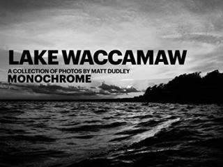 Lake Waccamaw MONOCHROME A Collection Of Photos By Matt Dudley