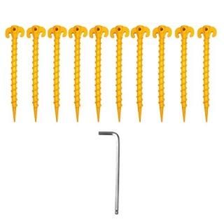 FGen ͥץ饹åͥƥȥΥԡ10 ͥ륹ӥƥѥ륹塼֥