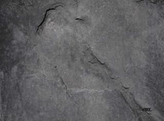 졼ȡ 졼 ƥ㡼ɲù Х å 饹 åƥ󥰥ܡ ե ŪȤΤ褦ʥȥ饹ȥǥ