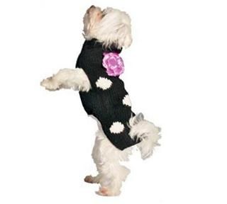 Chilly Dog Black Polka Dot Flower Dog Sweater XX-Large